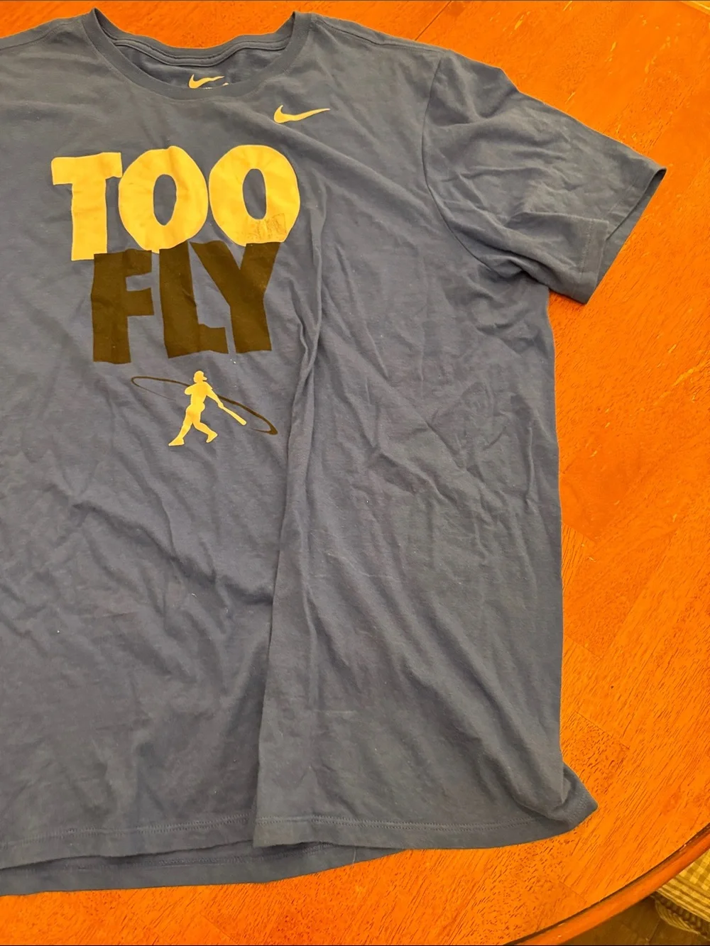 Nike Men's Blue 'TOO FLY' Graphic Short Sleeve Tee